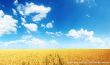 描写秋天田野的优美段落