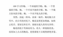 关于梅花的作文：梅花_500字