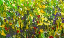 夏天优美段落：多彩的夏天段落_800字