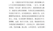 关于秋游的作文：秋游_500字