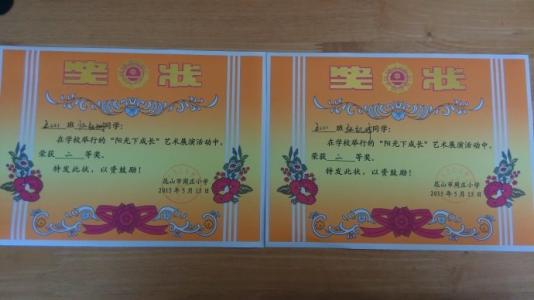在阳光下成长_900字