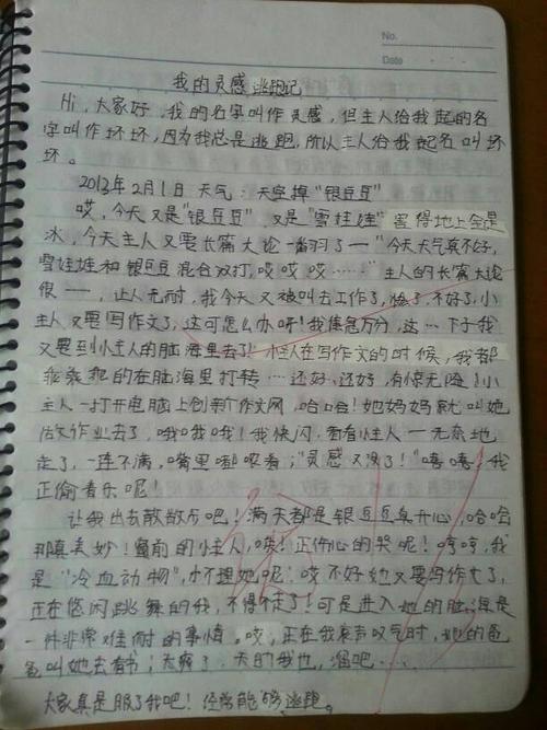 暑假_500字