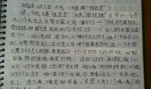 暑假见闻_500字