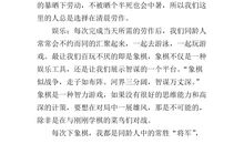 暑假计划作文_一个有意义的暑假_300字