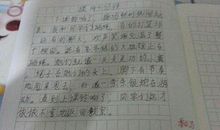 我的课余生活（二）_450字