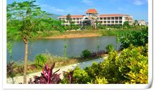 我的课余生活：化州农场_250字