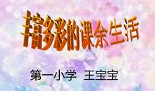 丰富多彩的暑假课余生活_700字