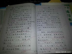 毕业论文：毕业班第一天_400字