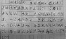 关于暑假生活的作文：暑假趣事——捉河蚌_700字