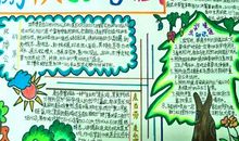 关于暑假生活的作文：畅谈暑假生活_350字