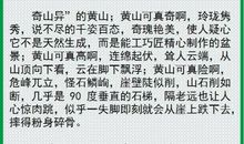 初一写景作文：大珠山_1200字