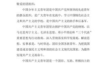 大学生入团申请书标准模板（三）