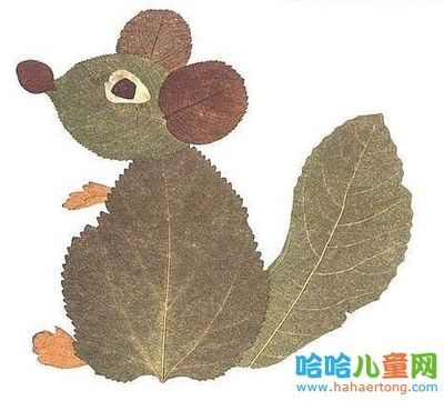 叶拼图_650字