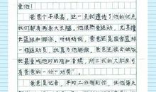 关于父亲节的作文：父亲节日记_700字