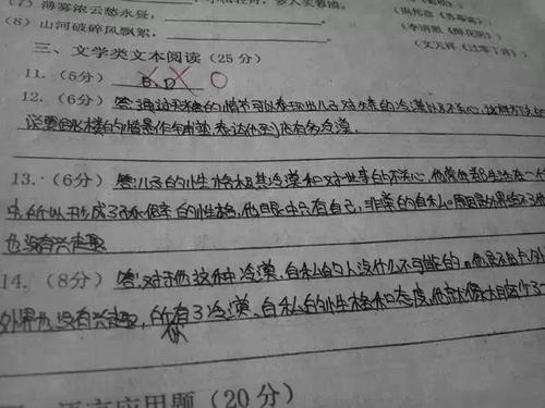 晓声首张满分作文：青春，随风而逝_1200字