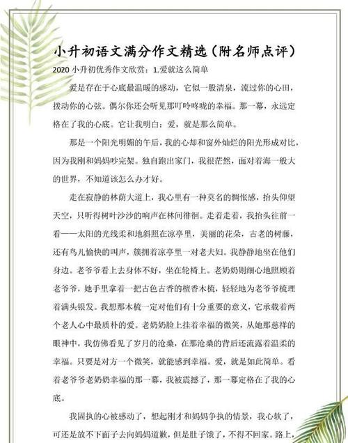 小生首个满分成绩：妈妈的爱_650字