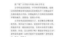 小升初满分作文：夏天的风_550字