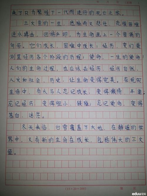 晓声首个满分成绩：生活需要勇气_600字