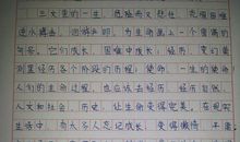 小升初满分作文：生命需要勇气_600字