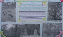 秋游手抄报_20字