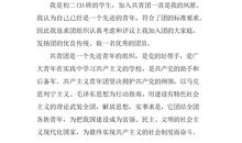 初二入团申请书12_300字