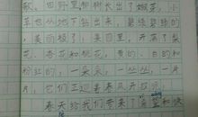 春天来了作文：春天在哪里_350字