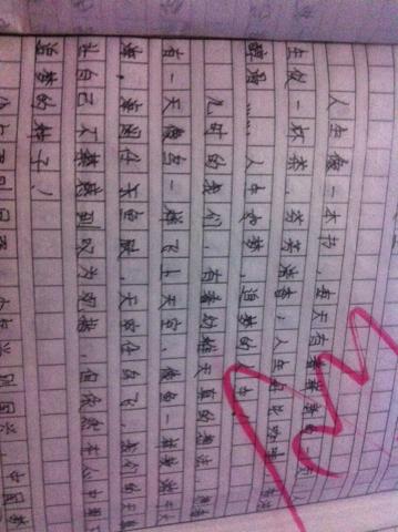 高级第一论证论文：启航前_1200字