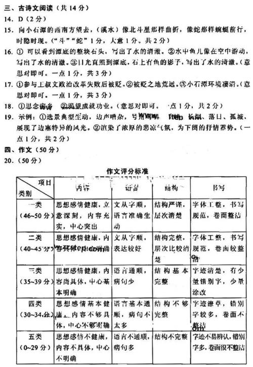 2010河南省高中入学考试作文主题：主题选拔作文