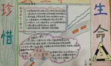 珍惜生命，安全第一_20字