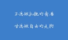 关于儿童节的作文：儿童节•自由节•狂欢节_1000字