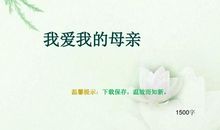 我的初三_1500字