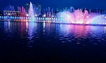 夏天的夜晚_550字