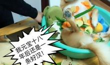 世有疑惑,必须发问_800字