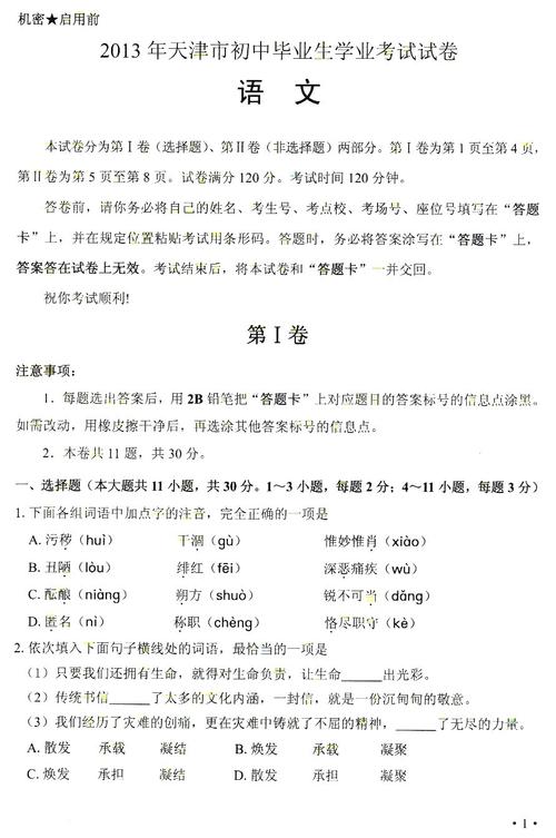 2009天津市高级中学入学考试全场作文：从梦中醒来迎接日出_1200字