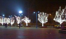 [圣诞节]孤独的圣诞节_900字