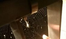 课余生活的日记：观察蜘蛛_250字