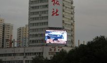 走马观花_1200字