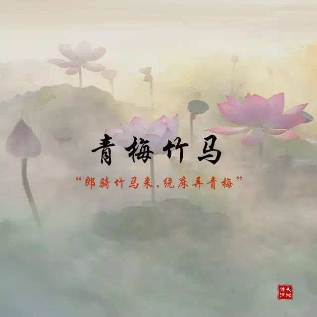 青梅世界，我会忍受_800字