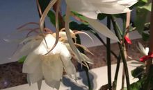 2011丽水中考作文题目：1.《欢乐一家亲》 2.《美丽一瞬间》