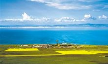 美丽的青海湖_300字