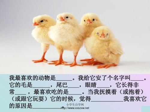 我最喜欢的小动物lark_150个单词
