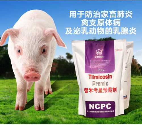 动物很有趣_150个单词