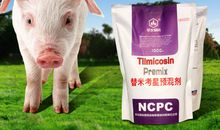 动物很有趣_150字