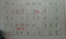 二年级写人作文：班里的新同学_300字