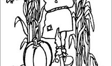 二年级看图写话：爱护水源_150字