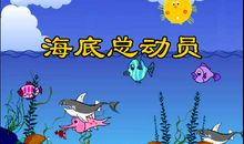 二年级状物作文：海底总动员_450字