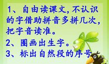 二年级读后感：读《乌塔》有感_400字