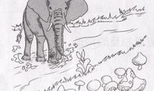 二年级看图写话：分蘑菇_350字