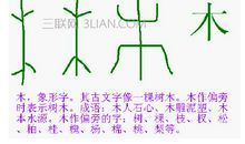 初二演讲稿：明年会更好_1200字