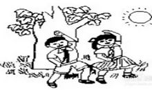 二年级看图写话：小女孩喂小鸡_150字